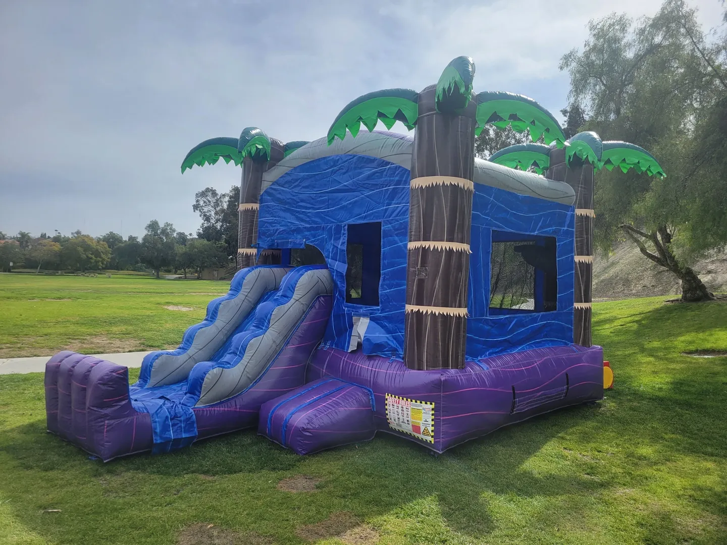A blue and purple inflatable with palm trees.